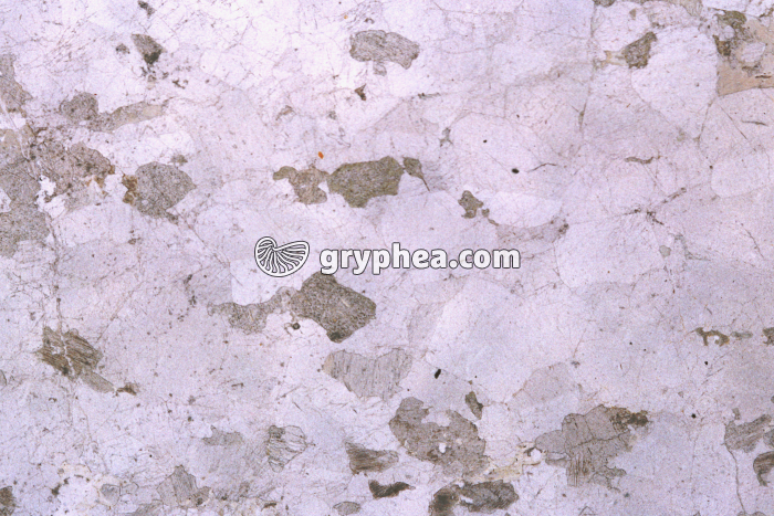 Gabbro rubané x3,5 - gryphea.com